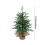 Mini Christmas Tree with Warm Lights 2ft 3