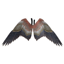 2Pièces Accessoires Ailes D'aigle Non Coloré Durable
