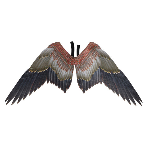 2Pièces Accessoires Ailes D'aigle Non Coloré Durable
