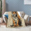 Vintage Tiger Throw Bunket Εξαιρετικά μαλακές, άνετες διακοσμητικές κουβέρτες φανέλας για το 4