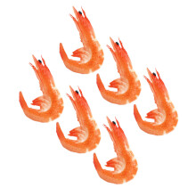 18Pièces Modèles De Crevettes Simulées Orange Accessoires Décoratifs