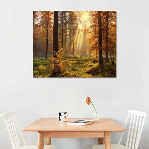 Quadro em tela "Floresta Misteriosa" (20x16 polegadas) 1