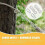 Double Brazilian Hammock with Ropes, 350 lb Capacity 3