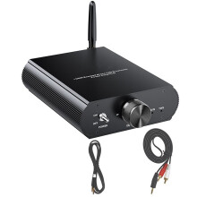 YS-T100w TPA3116 100W Boost Single Channel 5.3 Amplifier 12-24V Audio Amplifier Support APP Control