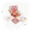 3D κάρτα Love Owl Pop-Up με μουσική και φώτα 3