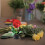 Εργαλείο στερέωσης λουλουδιών Flower Frog5,31x2,17x2,17 ίντσες 6