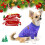 Pull polaire classique pour chiens de petite et moyenne taille 2
