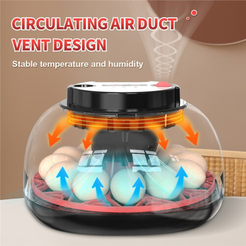 Flashlight for Automatic 12H Chicken Quail Egg Incubator Temperature and Humidity Display Automatic Egg Turning EU Plug 2