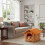 Niche pour chien d'intérieur pliable et douce avec coussin 5
