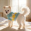 Wollpullover für Babys – Warm, stylisch und niedlich 4