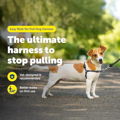 Ζώνη Easy Walk για σκύλους – Χωρίς τράβηγμα, Πατενταρισμένη θηλιά Martingale, Κλιπ 1