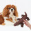 Brinquedo para cães com apito, formato de jacaré, para cães com café, 1 unidade. 6
