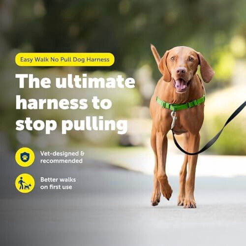 Ζώνη σκύλου Easy Walk No-Pull – Αποτρέψτε το τράβηγμα, βελτιώστε τους τρόπους του 1