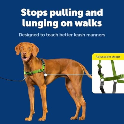 Ζώνη σκύλου Easy Walk No-Pull – Αποτρέψτε το τράβηγμα, βελτιώστε τους τρόπους του 2