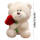 Λούτρινη κούκλα Rose Bear 25cm Ρομαντικό κόκκινο δώρο Αγίου Βαλεντίνου 2