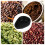 Black Silicone Coffee Bean Measuring Plate 1 Piece 7