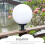 Witte acryl wandlampenkap 15 cm 3