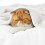 Couverture polaire GentleSoft blanche, format double 84 x 90 pouces 2