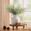 Vaso de cerâmica off-white de 8 polegadas com alças. 3