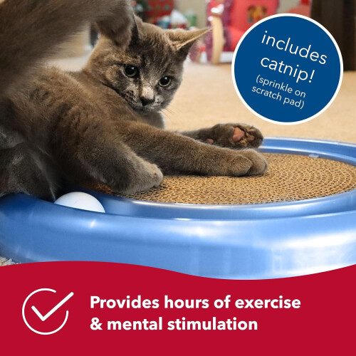 Παιχνίδι γάτας Coastal Pet Turbo Scratcher με πίστα και μπάλα 2