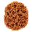 TOYMYTOY Texture Sponge Art Creation Tool Irregular Shape 1Pack 6
