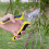 Gartenschere mit rutschfestem Griff (1 Paar) 7