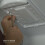 Φωτιστικό ψυγείου LED συμβατό με Whirlpool Kenmore 5