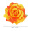 Presilha e broche de cabelo com rosa laranja artificial 2