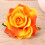 Presilha e broche de cabelo com rosa laranja artificial 3