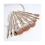 Σετ πινέλων 9 τεμαχίων Golden Oval Foundation 2