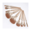 Σετ πινέλων 9 τεμαχίων Golden Oval Foundation 5