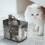 Kattenwaterfontein met filter, stil en met grote capaciteit. 5