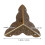 Protections d'angle marron antique pour meubles en bois (40 pièces) 2