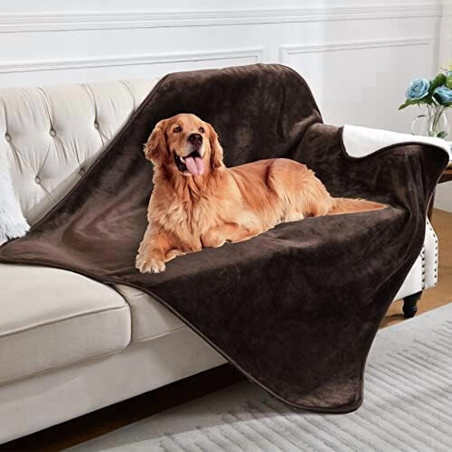 Αδιάβροχη αναστρέψιμη κουβέρτα κατοικίδιων για κρεβάτι/καναπέ – Sherpa Fleece, 1