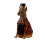 Karafka do wina Doberman Pinscher 320ml 2