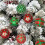Weihnachtskugeln, rot, grün, gold, 12 Stück 5