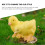 Mini statuetta di pollo in resina, 5,8 cm 3