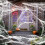 Διακοσμήσεις για το Halloween από ιστό αράχνης 20 τετραγωνικών ποδιών με 2 ψεύτικες 3