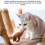 Cat Toy Interactive Electric Fluttering Sparrow Realistic Bird Movements Engaging Pet  Accessory 2