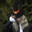 Καπέλο μάγισσας για το Halloween 17x15in από πολυεστερικό βελούδο, μωβ πορτοκαλί μυτερό 6