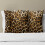 Fețe de pernă cu imprimeu leopard, 20x20 inci, set de 2 4