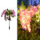 Solar Wisteria Flower Stake Light - Plastic, 80cm 4