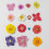 Dried Pressed Flowers for Resin Molds Red 35 pcs 3