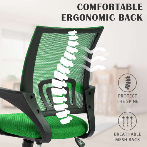 Sedia da ufficio in rete con supporto lombare e braccioli, colore verde. 2