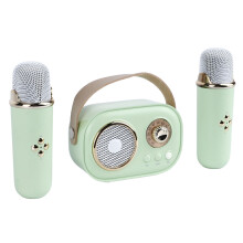 Mini Macchina Karaoke 2 Microfoni Set Speaker Bluetooth 1000mAh