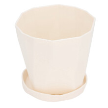 6 Pack Small Plastic Planters with Drip Trays