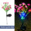 2-Pack Solar Daisy Garden Lights, 21-LED, IP66 Waterproof 2