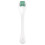 beauty by earth Microneedle Derma Roller con Aros de Acero Inoxidable de 0.25 MM, 1 Roller 1