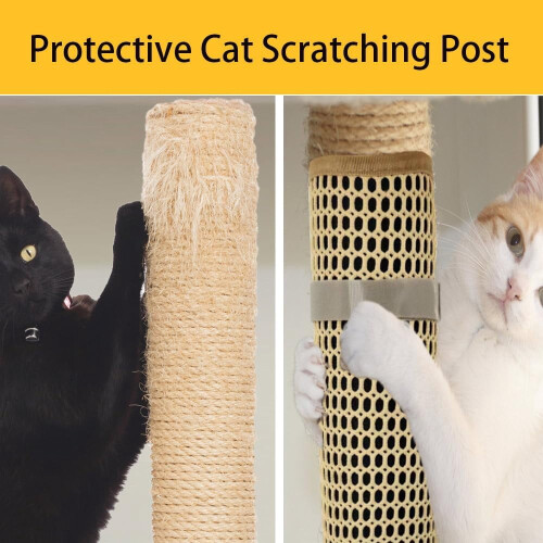 Cat nail file scratcher wrapped around scratching post 1