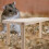 Hamster Support Platform Accessories Cages Cork Log Tunnel Hamsters Maze 7